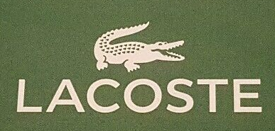 How To Identify Fake Lacoste Sneakers in 2024 | Lacosted